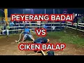 Download Lagu TARIK TAMBANG DUNG JANGKAR . CIKEN BALAP VS PEYERANG BADAI