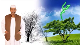 الشاعر أحمد ود العبد حكم 