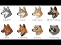 Every WILD DOG Explained in 08 Minutes