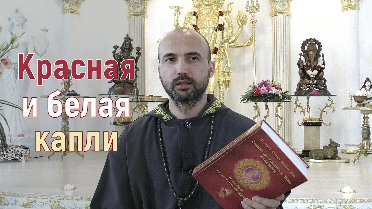 course красная и белая капли image