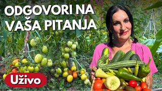 Odgovaram Na Vaša Pitanja - Konsultacije Uživo #014
