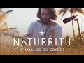 Download Lagu N Λ T U R R I T U – El Llamado del Cóndor (Hybrid DJ-SET / Folktronica / Organic Downtempo)