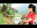 Download Lagu BACK IN TIME: 17-Year-Old Single Mother's 365-Day Journey Of Abandonment \\ Building A Bamboo House