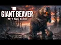 The Giant Beaver That Never Built a Single Dam