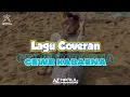 Download Lagu Lagu Joget Coveran Cewe Kabaena Remixer Azarul Kenzo.