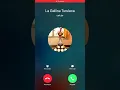 Llamada de La Gallina Turuleca de la Granja