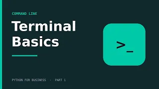 Python Terminal Mastery
