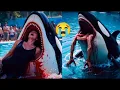 Download Lagu 🌊🐋 Jessica Radcliffe Felt Something Was Wrong —The Orca Gave a Terrifying Signal in the Last Show