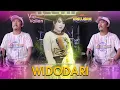 Via Vallen Ft New Pallapa - Widodari (Official Music Video)