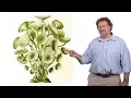 Wallace Marshall UCSF Ten Craziest Things Cells Do