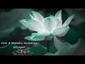 Download Lagu Ciree \u0026 Shatadru Sensharma - Solivagant [Soluna Music]