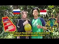 Lagu Istri Bule Pertama Kali Panen Kelapa Muda Dan Mengunjungi Pabrik Tahu Di Desa | Harvesting Coconut