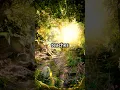 Download Lagu The Story of Surah Nuh A Faceless Journey