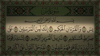 سورة يس مميزة للشيخ ماهر المعيقلي بدون مؤثرات  سورة يس مميزة للشيخ ماهر المعيقلي بدون مؤثرات