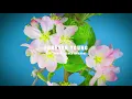 Download Lagu Sagi Kariv Ft. Chen Aharoni - Forever Young