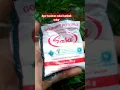 Download Lagu agar tanaman cabe tumbuh subur dan berbuah banyak.