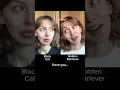 Download Lagu #pov The Black Cat + Golden Retriever Duo: “I love you”…