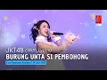 Download Lagu JKT48 - Burung Unta si Pembohong (Usotsuki na Dachou) (Danella, Daisy, Marsha) | CMR 29 Juni 2025