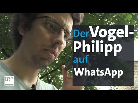 Download MP3 Vogelphilipp: Vögel per WhatsApp bestimmen | BR24