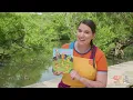 Read With Caitie | Five Little Ducks | Cute Counting Story For Kids!