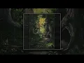 Ifernach - The Green Enchanted Forest Of The Druid Wizard [Full Album]