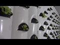 High Density Vertical Hydroponics
