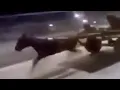 fast horse meme