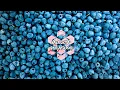 Mert Oksuz - Everything We Had (feat. Selin)