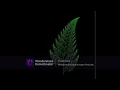 leaf code in python