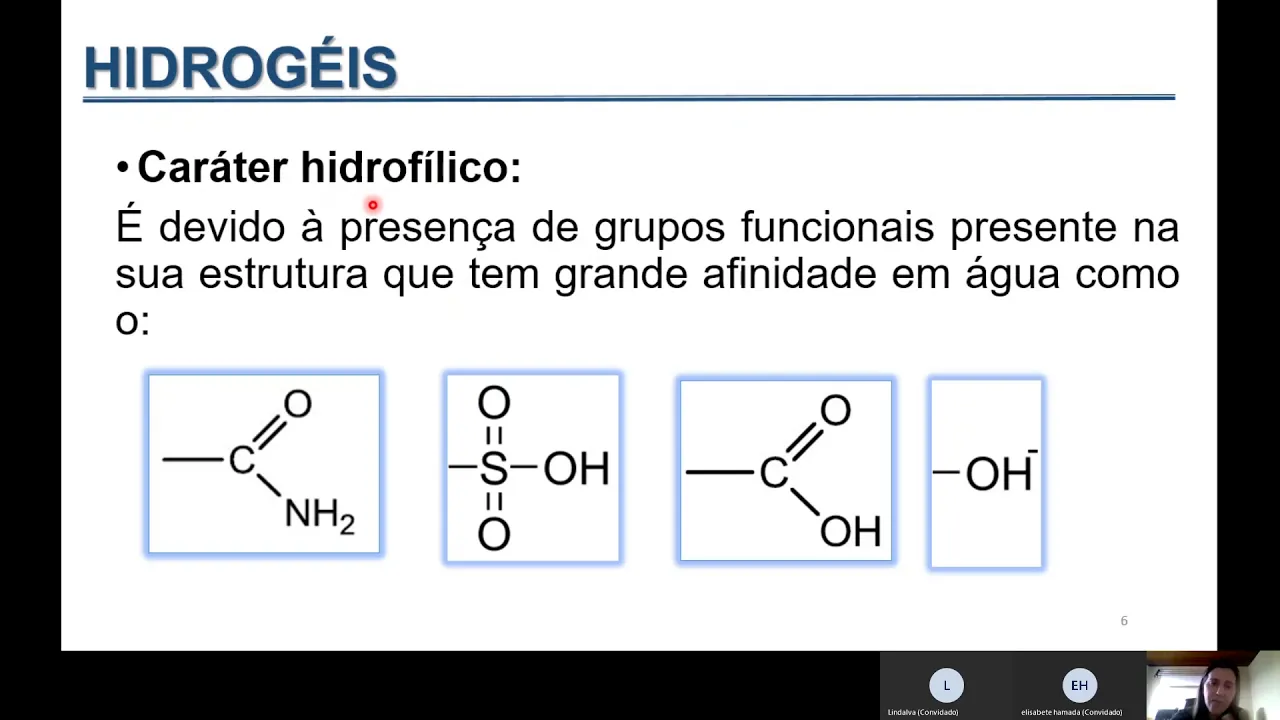 Hidrogéis (Conceitos e Aplicações)