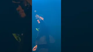 شوفي نجمك ماما شوفي اكل الجو الشامي اكسبلور 