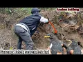 Download Lagu 2 ANAKAN JALAKKEBO DI SARANG SEPENDEK INI || ANAKAN KUTILANG LAGI