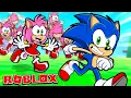 Sonic Amy CLONES in ROBLOX
