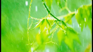 soothing music with the sound of rain wind thunder yomgir ovozi bilan mayin uxlash uchun musiqa hd
