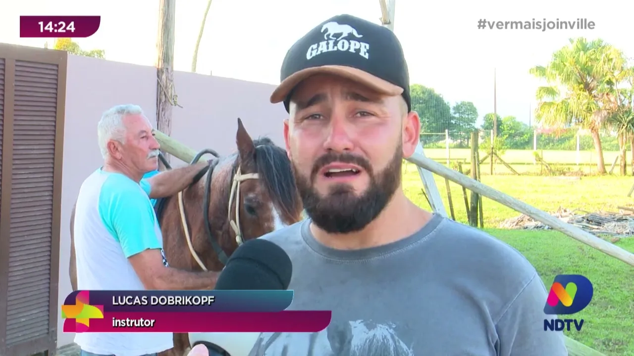 Equoterapia em Joinville: contato com cavalos para reabilitação e treinamento