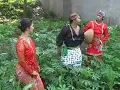 Download Lagu Waljinah - Entit..Langgam Jawa Legendaris Pling Top