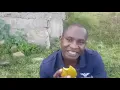 Download Lagu MARRYING IS LIKE BUYING A MANGO