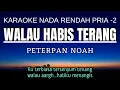 Download Lagu Peterpan - Walau Habis Terang (Karaoke Lower Key Nada Rendah Pria -2 C)