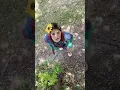 Lagu BURUNG APAAN INI😱😱😱😱 #funny #lucu #ngakak #burung #binatang #viral