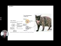 ch 15 part 3 alteration and exceptions