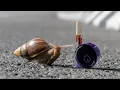 Lookah Snail 2 0