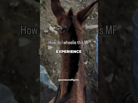 You Need FAST Reflexes To Ride.. | Part 2