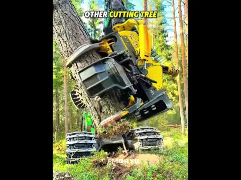 The Last Guy Broke the Rules