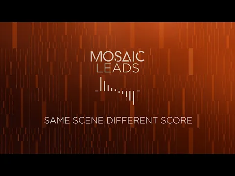 Mosaic Leads product video
