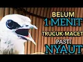 Lagu Trucukan Bahan Trucuk Ombyokan PAUT BISU PASTI BUNYI DENGAR SUARA TRUCUK GACOR NGALAS NGROPEL INI ‼️