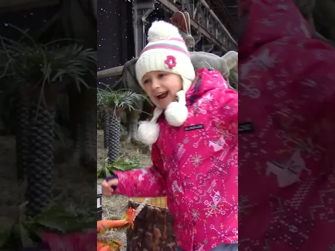 🦖✨ Dinosaur Adventure with Yaroslava! Fun Rides & Fossil Dig! 🦕🎉 | BuBuDu Kids #playarea #vlog