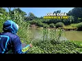 Download Lagu Seru NGEBOLANG mencari spot yang masih banyak ikan nya untuk dimasak di pinggir sungai pegunungan