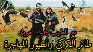 طائر الكركي والطيور المهاجرة مع الدكتور جميل خويلد Kraniche Vögel 