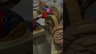 تحفيز طب خلي أحلامك عم تكبر بدون موسيقي 