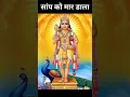 Download Lagu अगर आप अपने सपनों में किसी सांप को मार डालते हैं तो आपके साथ क्या होगा! 😯😲
